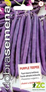 Dobrá semena Fazol keříčkový - Purple Teepee 10g